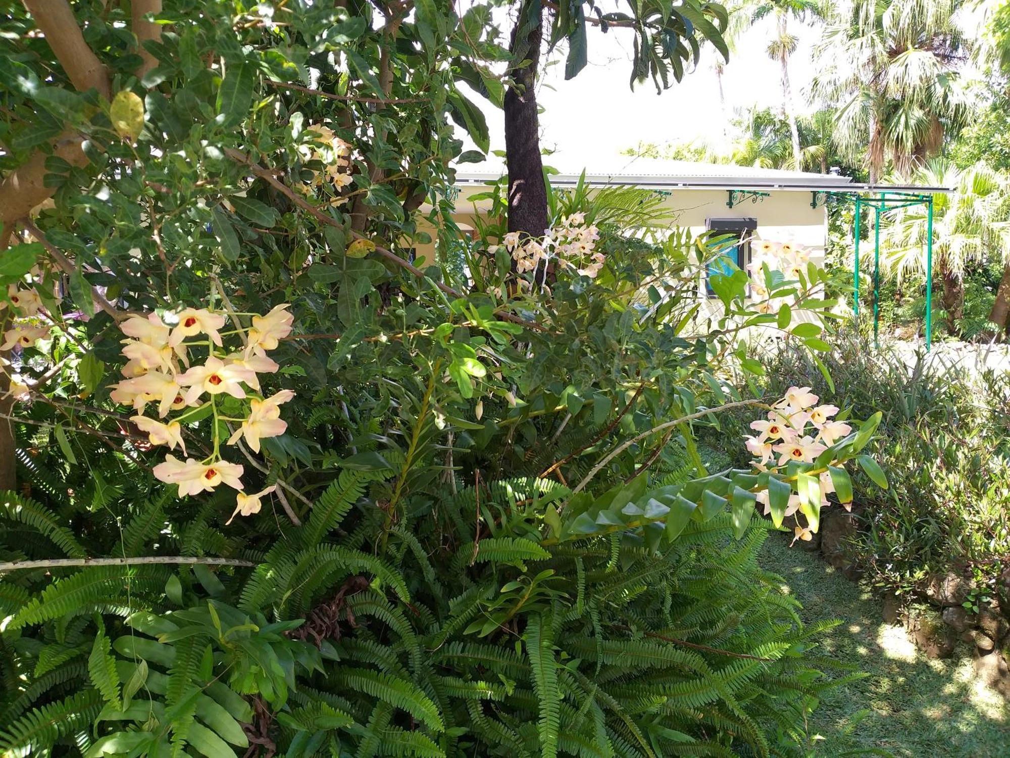 Poivre Et Citronnelle Bed & Breakfast Saint-Andre Ngoại thất bức ảnh