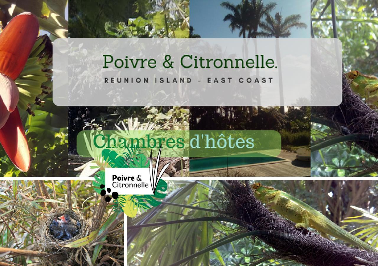 Poivre Et Citronnelle Bed & Breakfast Saint-Andre Ngoại thất bức ảnh